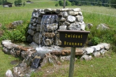 zwieselbrunnen